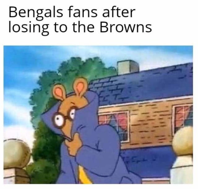 Bengals fans farter losing to the Browns - meme