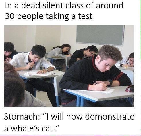 Me: - meme