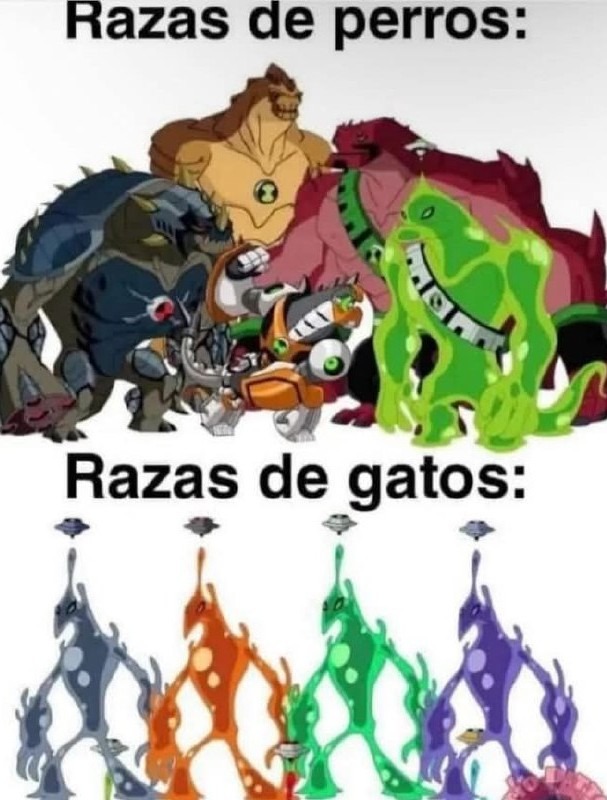 Razas de perros: enciclopedia... Razas de gatos: caos con patas - meme