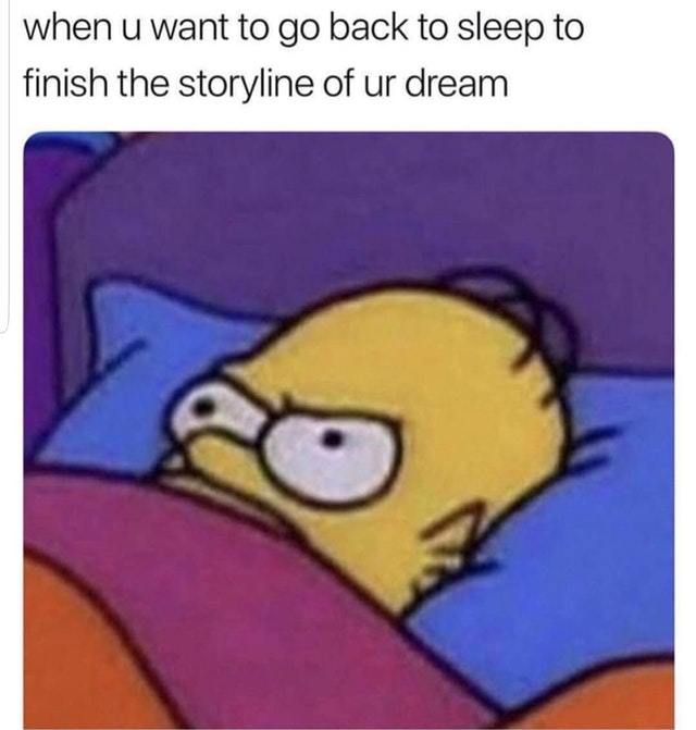I was having a great dream and then I woke up - meme