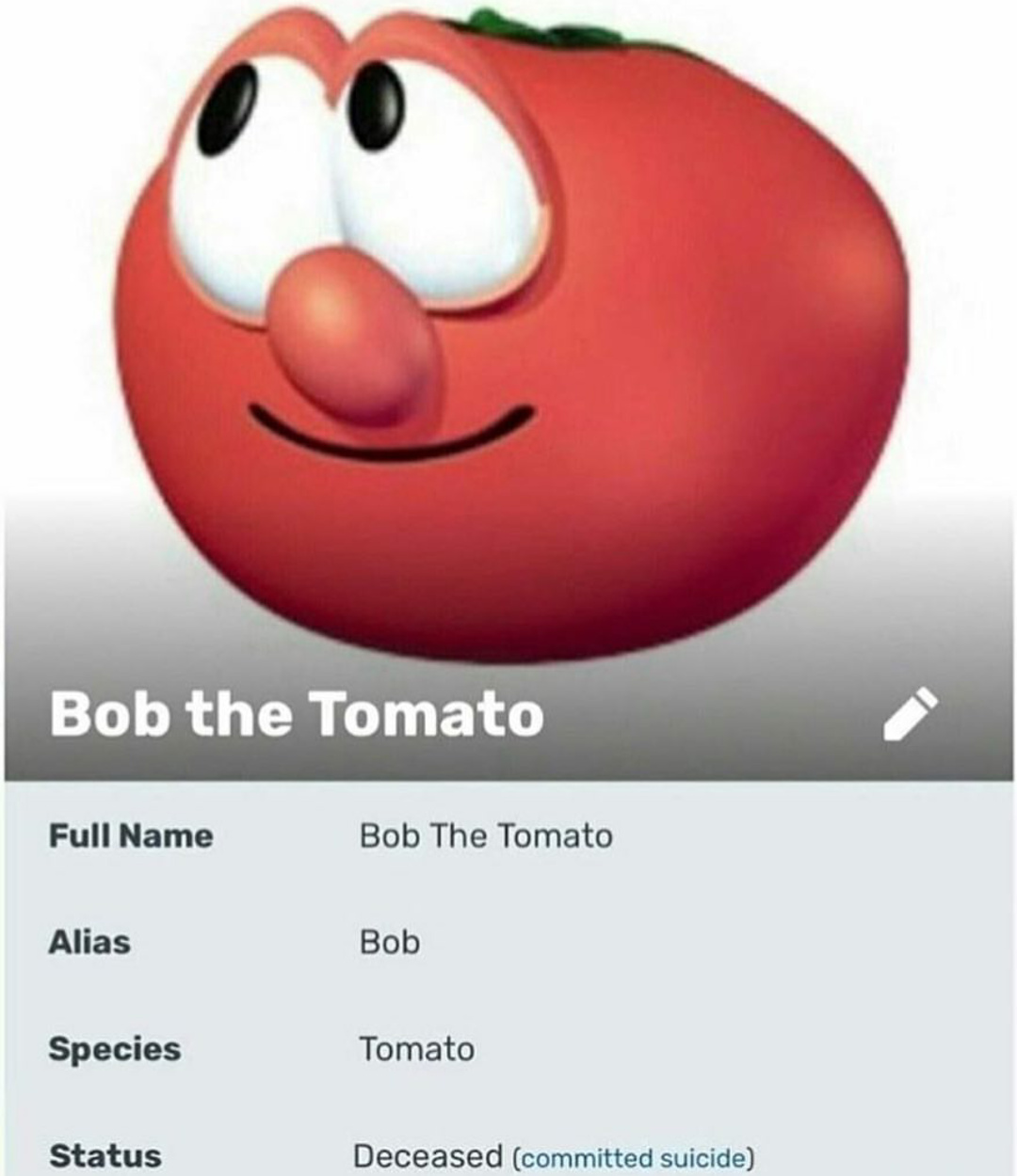Jorenjo123 is a tomato cockie - meme