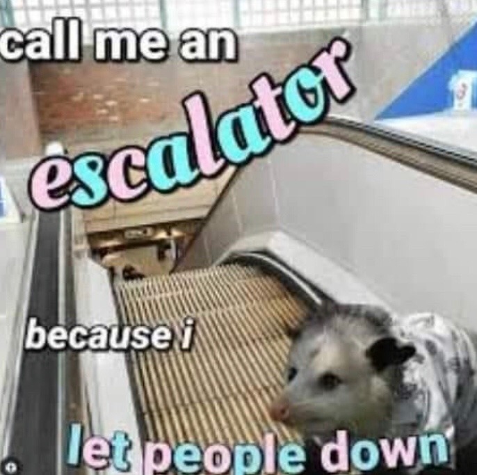 dongs in an escalator - meme