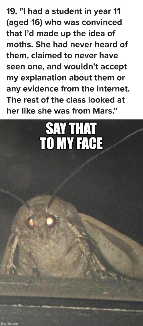 We all know her mother is a karen - meme