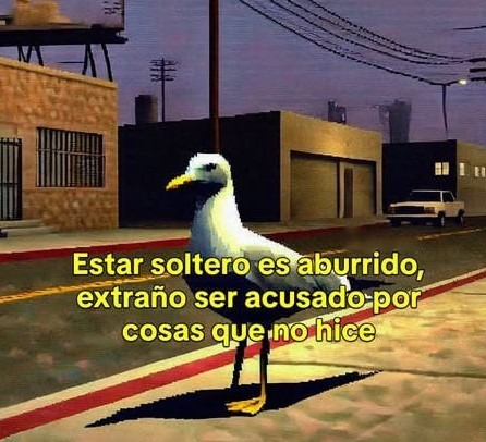 meme de San valentin para solteros