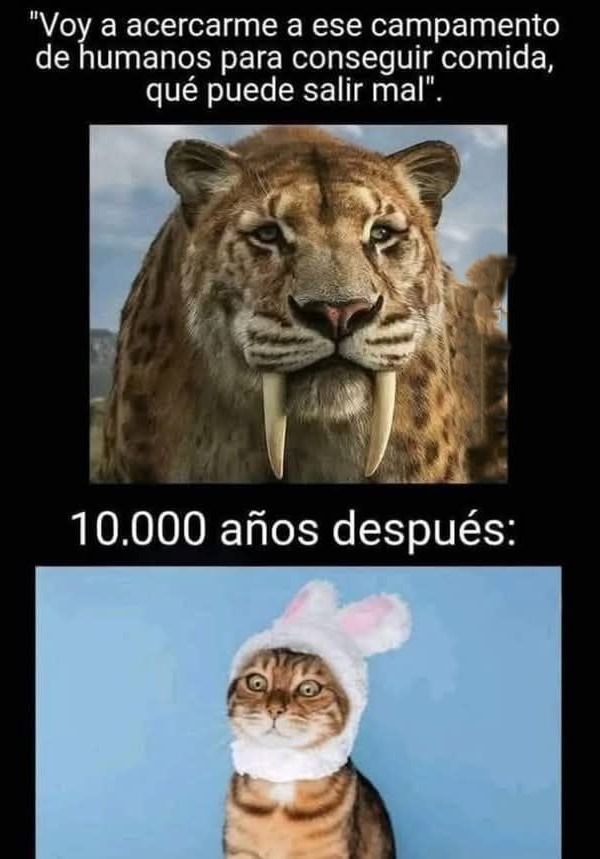 Un simple error de cálculo... 10.000 años después - meme