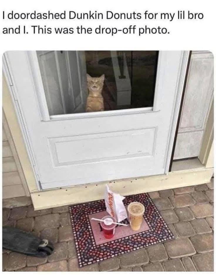 Doordashed my bro some donuts and this was the proof photo - meme