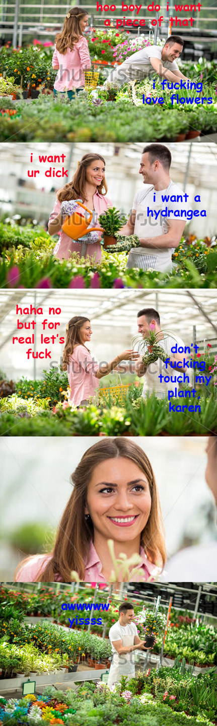 Don't touch my flowers - meme