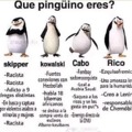 dejen que pinguino son