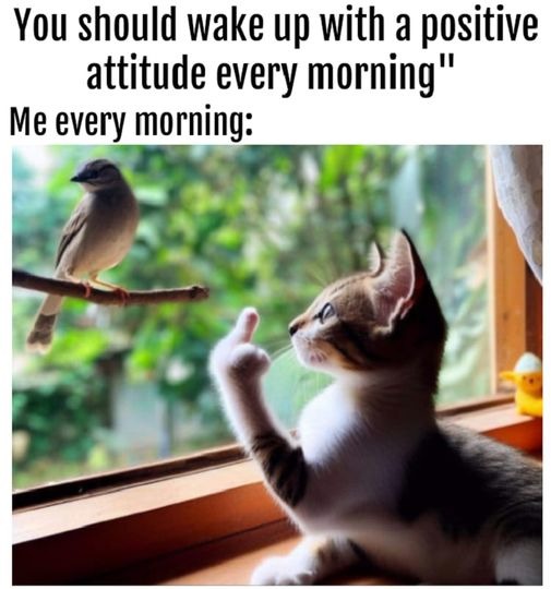 Attitude - meme