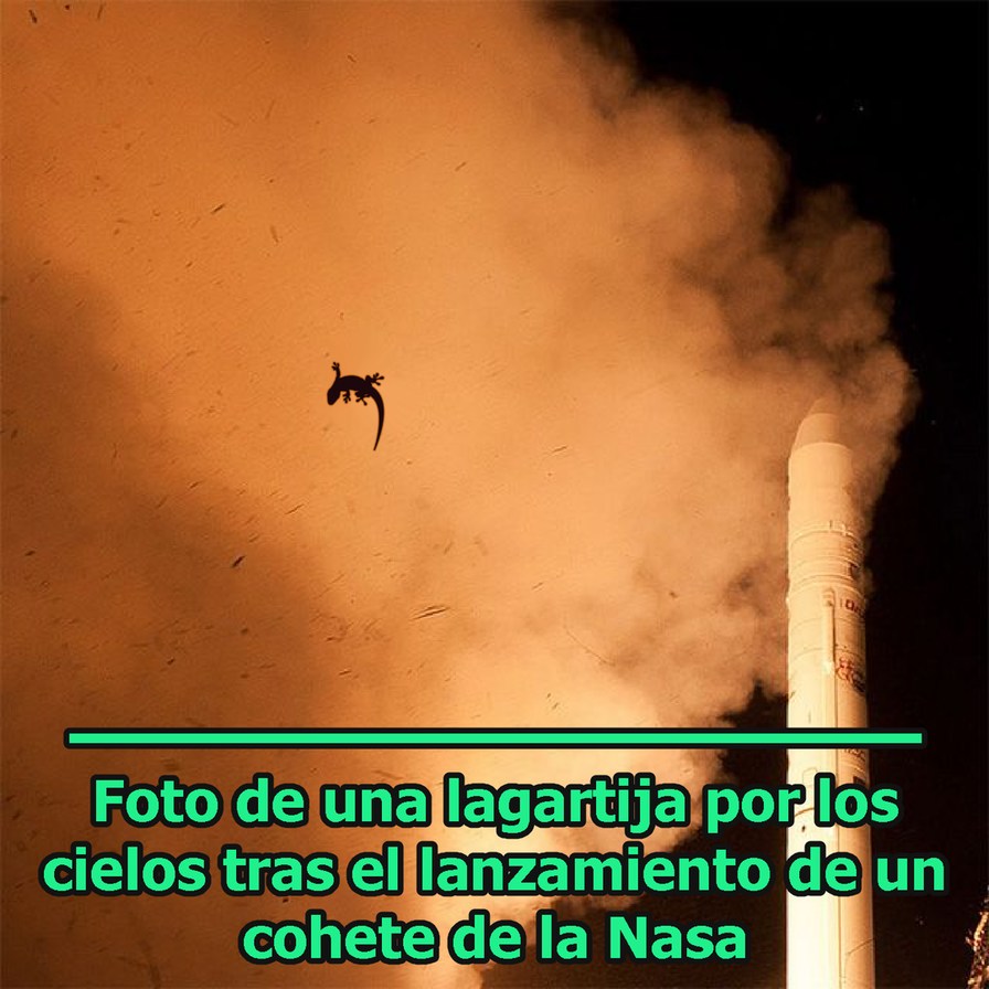 #SalvenMemedroid