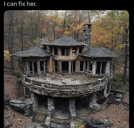 I can fix her - meme