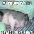 Pig pillow(repost)