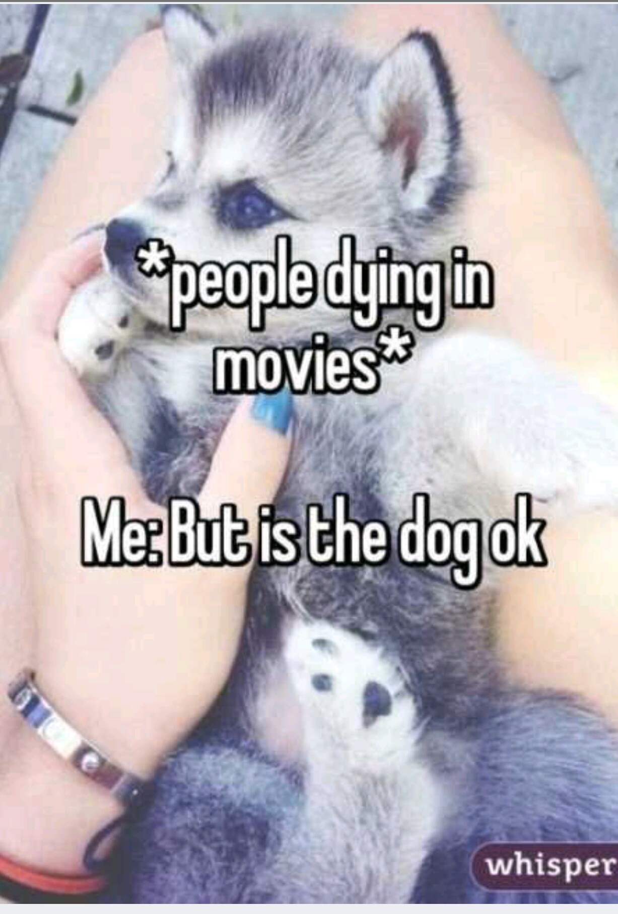 Doggo - meme