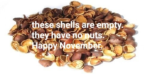 Empty shells have no nut - meme