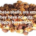 Empty shells have no nut