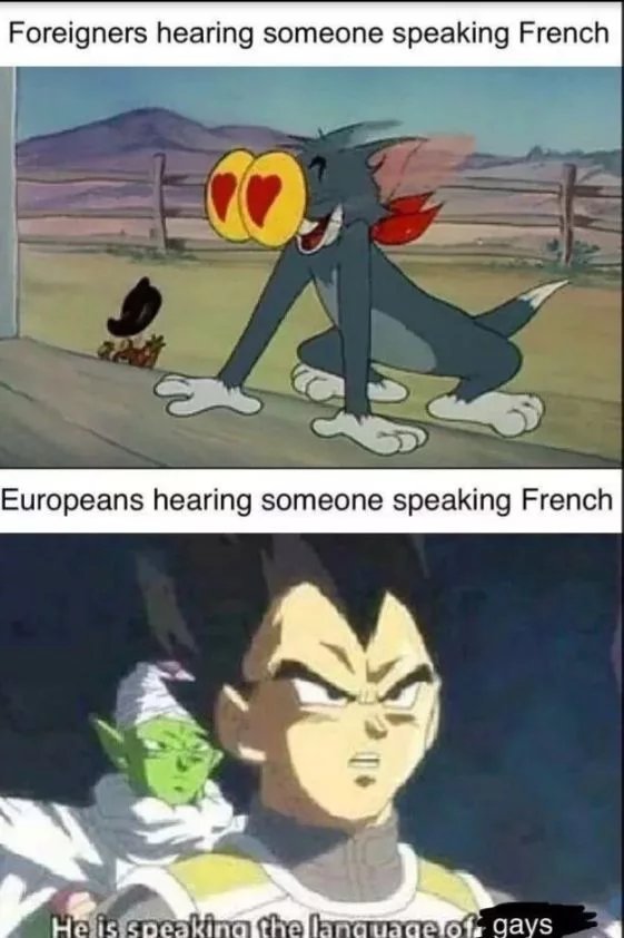 French - meme