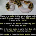 Snake Prank