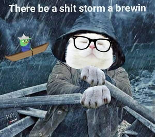 There be a shit storm a brewing - meme