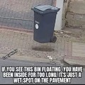 Floating trash can