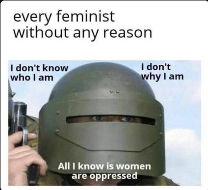 wiping boogers on feminism - meme