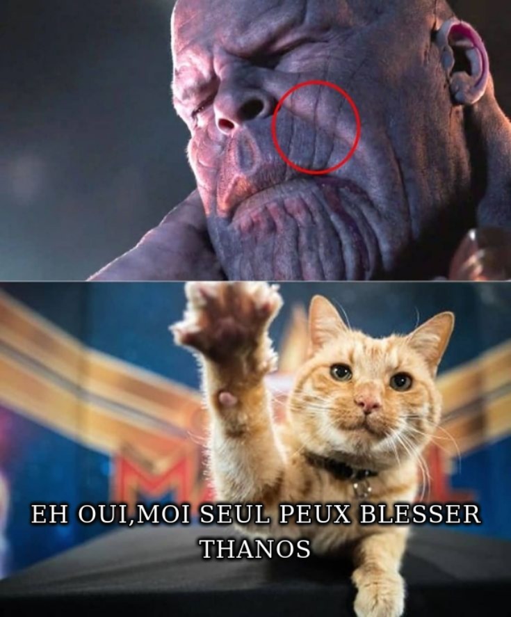 un chat a blessé thanos - meme