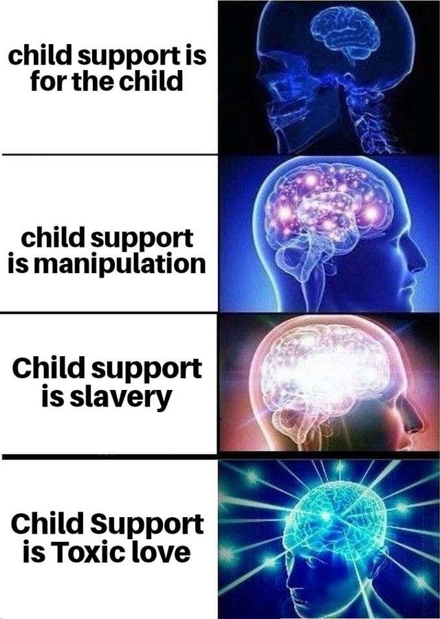 Child support is toxic love - meme