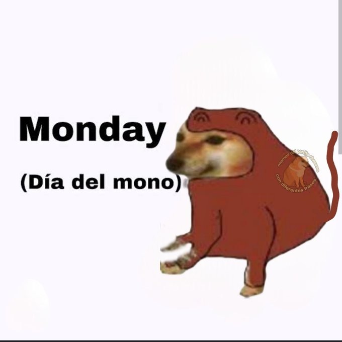Monday es el día del mono - meme