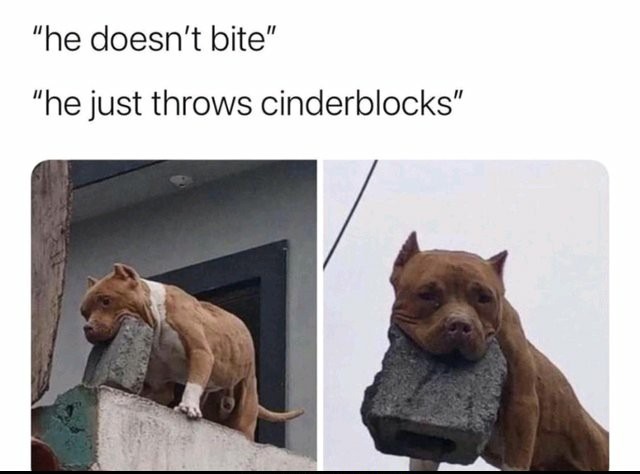 Everyone gangsta till the dog start chucking bricks - meme