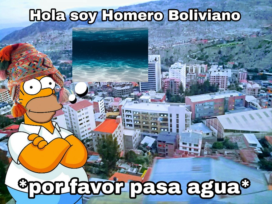 Hola soy Homero Boliviano - meme