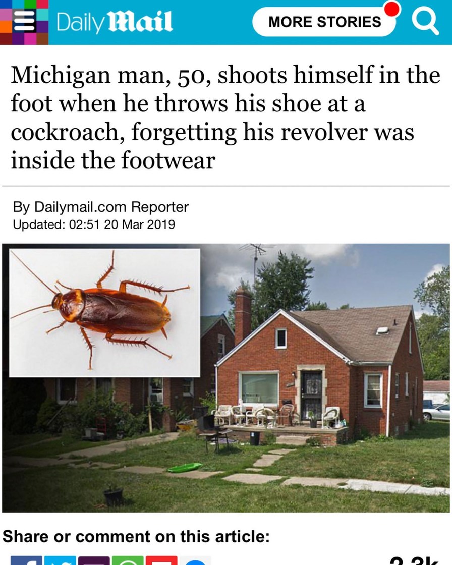 A Michigan man shot himself in the foot when he threw his shoe at a cockroach, local authorities say - meme
