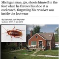 A Michigan man shot himself in the foot when he threw his shoe at a cockroach, local authorities say