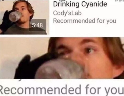 RECOMMENDED FOR YOU - meme