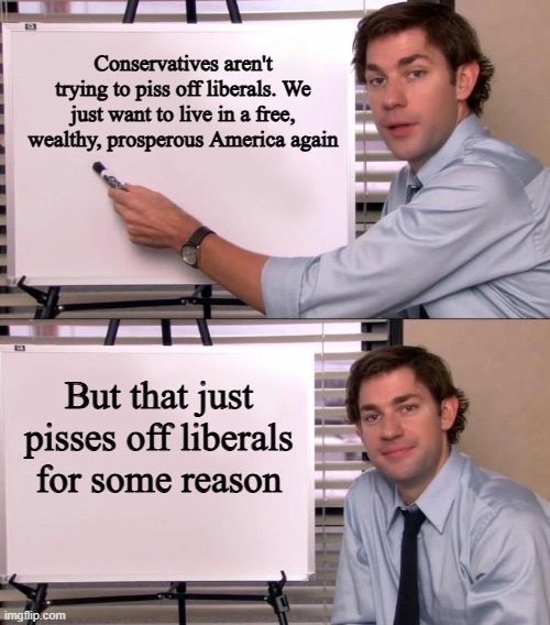 Pissing off liberals is a nice bonus though - meme