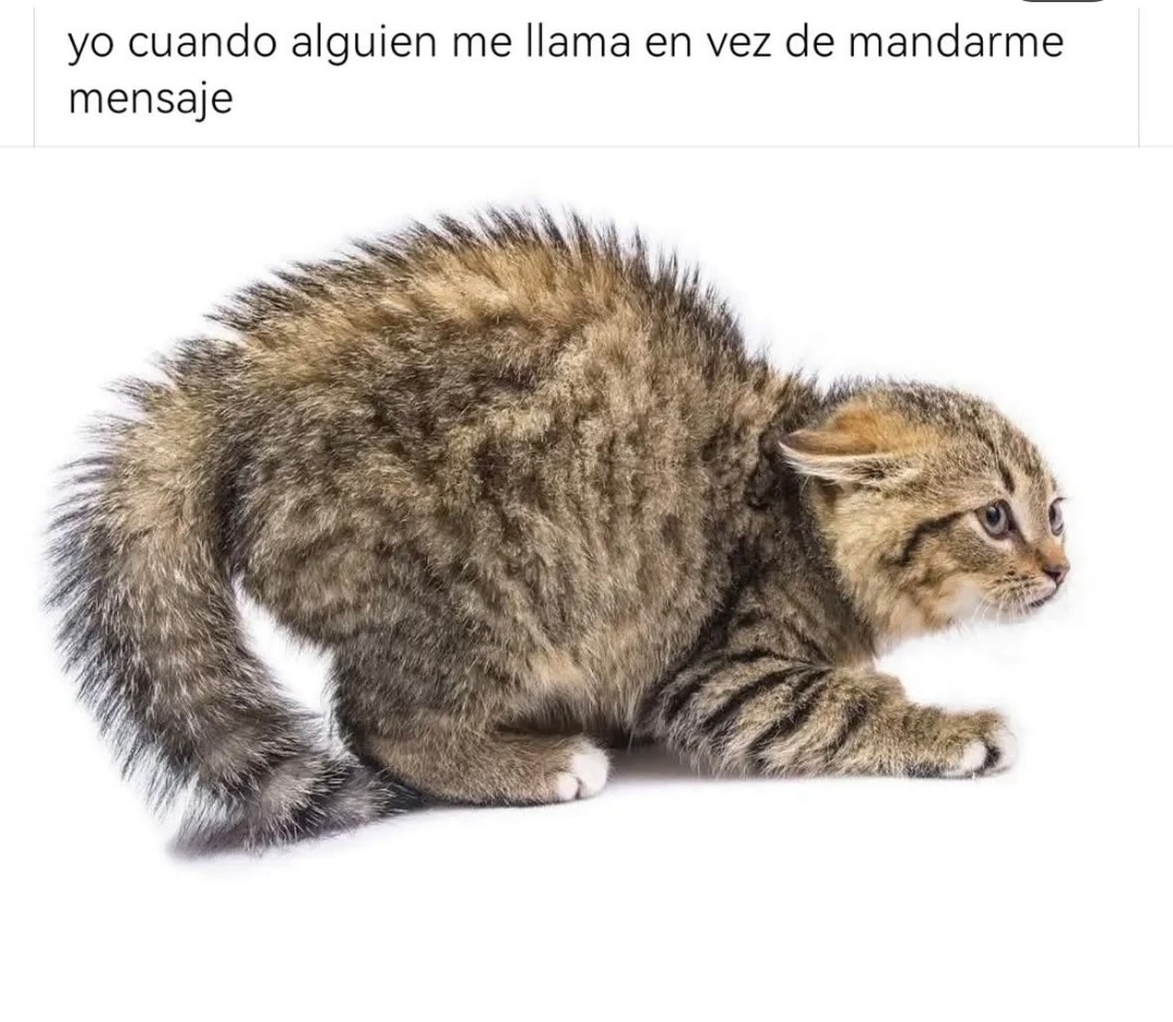 Yo cuando me llaman - meme