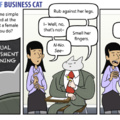 Business cat is so chill