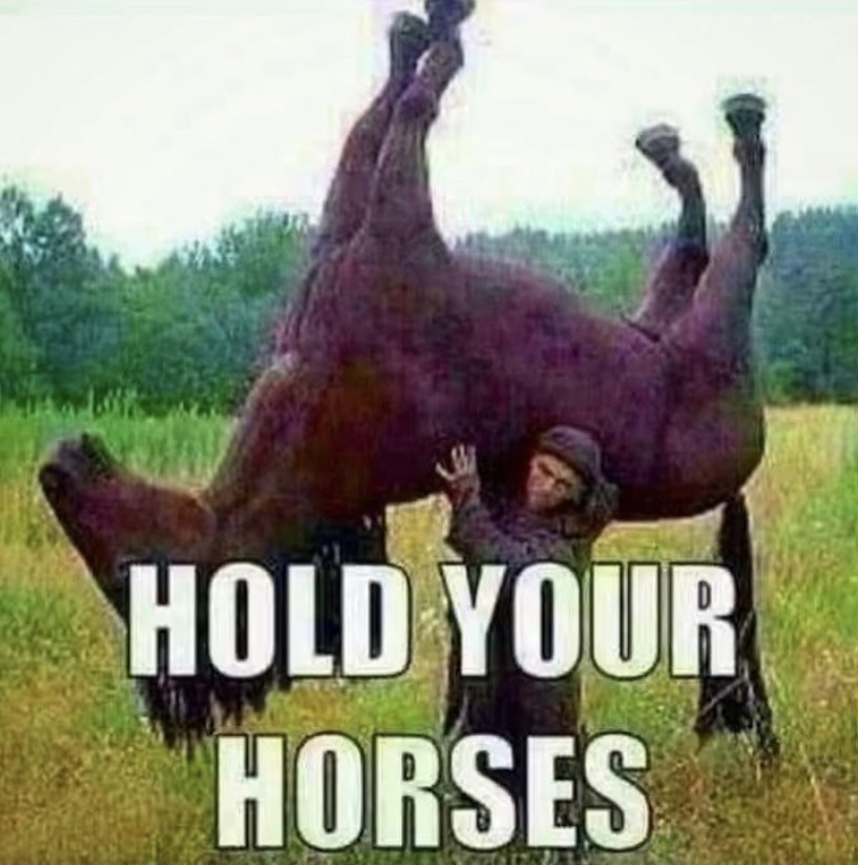 hold your horses - meme
