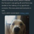 commented item thumbnail
