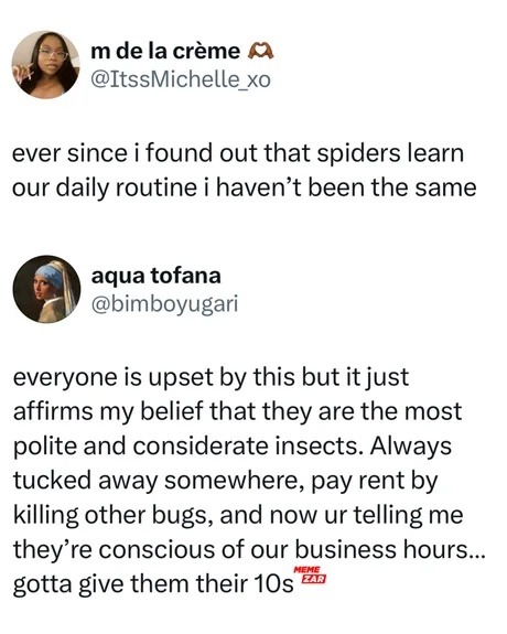 Spiders just respectful roommates with murder perks - meme