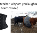 corset fer cows
