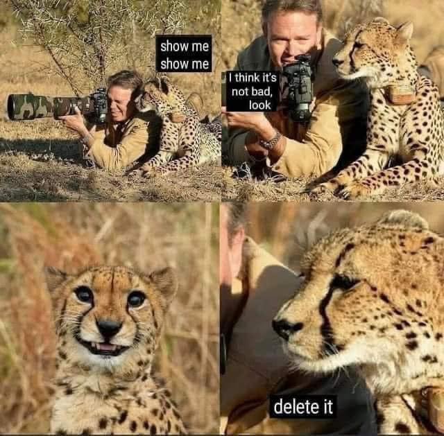 Delete it - meme