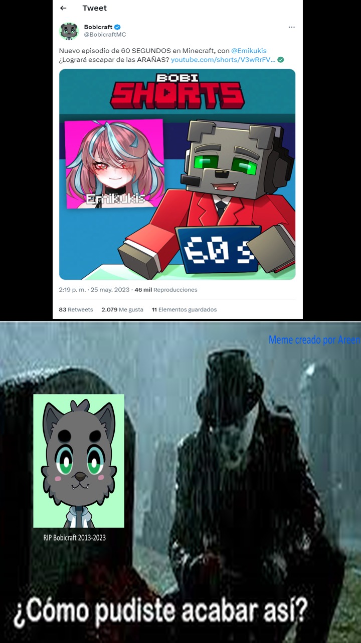 Primero Contertine con Nimu y ahora Bobicraft con Emikukis :jackie: - meme