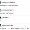 Owl meme