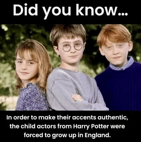 To perfect their accents, the Harry Potter kids were forced to grow up in England - meme