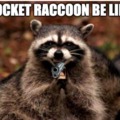He's not a raccoon
