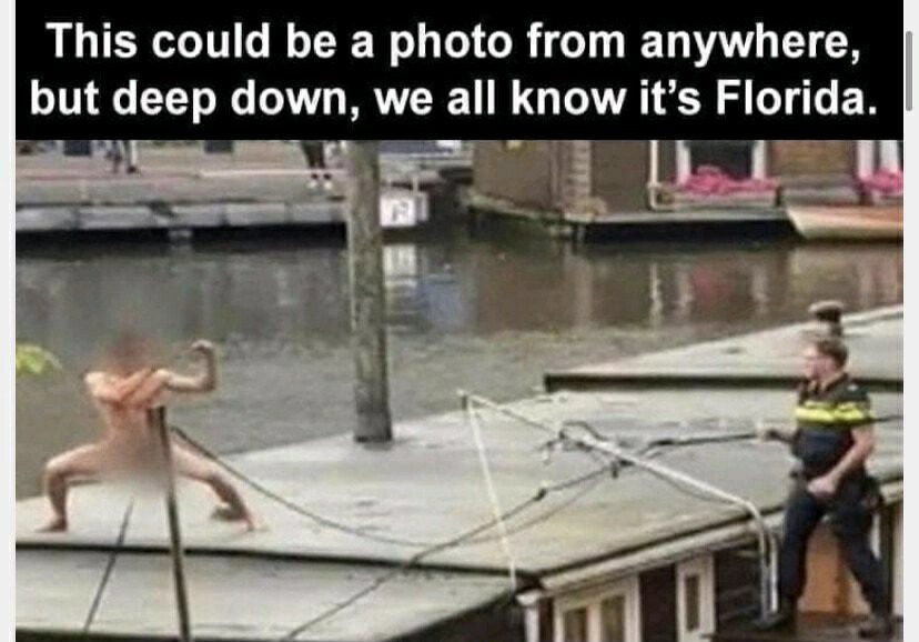 Florida, America's schlong. - meme