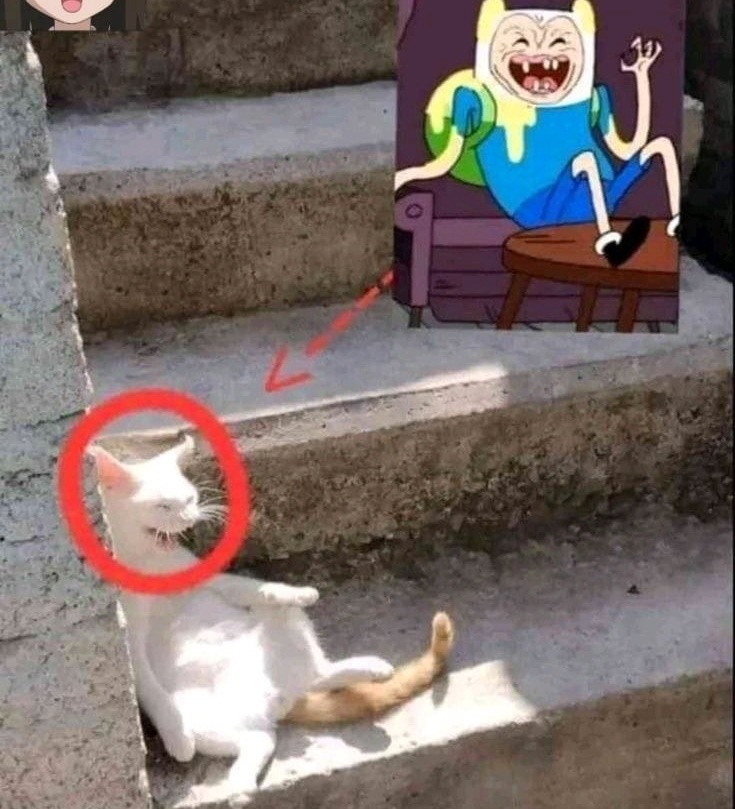 MANIACOTE - meme