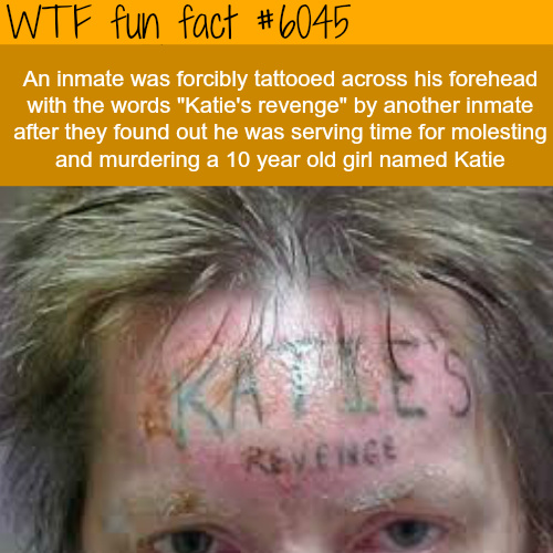 Katie's revenge - meme