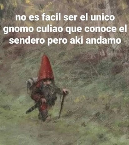 El único gnomo que sabe el camino - meme