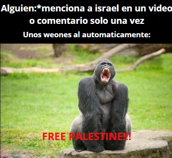 Estoy a favor de palestina pero PORFAVOR ya cansan con eso. no puede ser que sea el unico que piensa lo mismo verdad? - meme