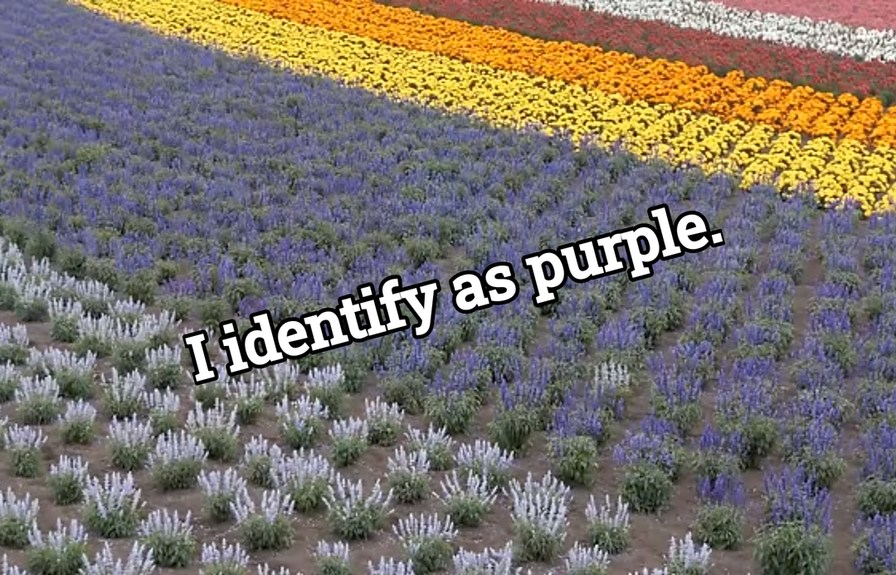 Identity - meme